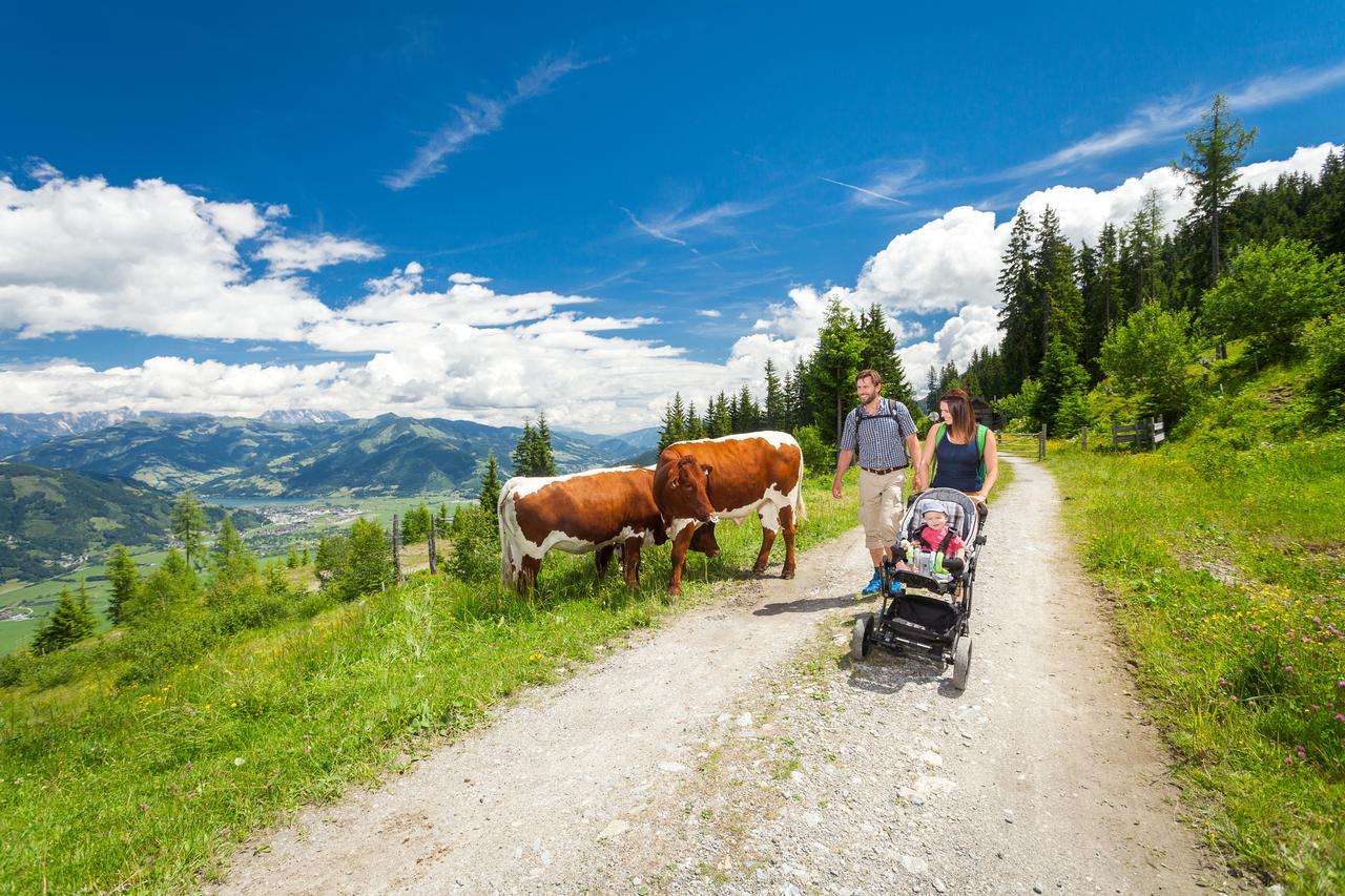 Ski & Golf Apartment Zell Am See Dış mekan fotoğraf